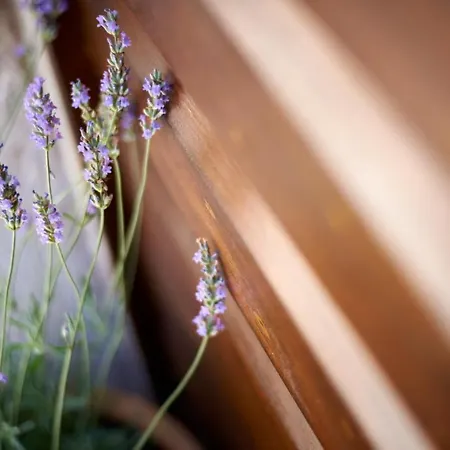 Kudelik - Stone Story