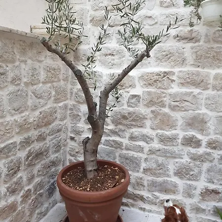 Kudelik - Stone Story 4*