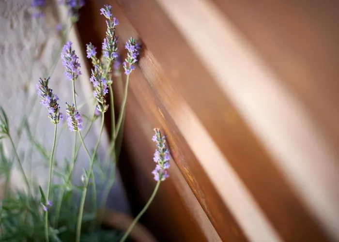 Kudelik - Stone Story