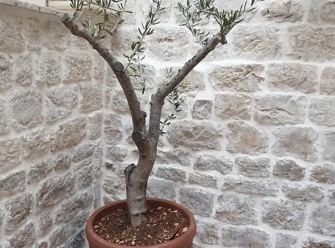 Kudelik - Stone Story 4*